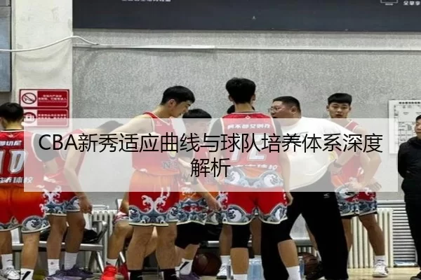 CBA新秀适应曲线与球队培养体系深度解析