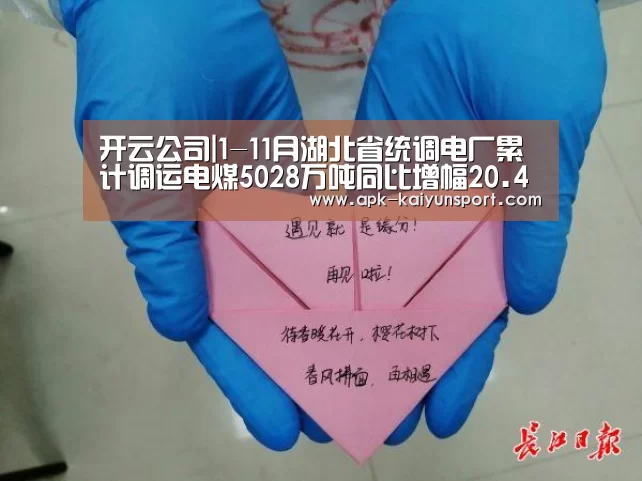 开云公司|1-11月湖北省统调电厂累计调运电煤5028万吨同比增幅20.4%(图1) 开云集团