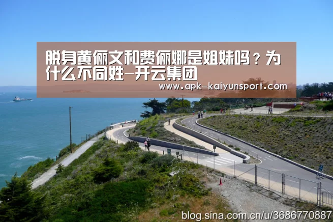 开云团队